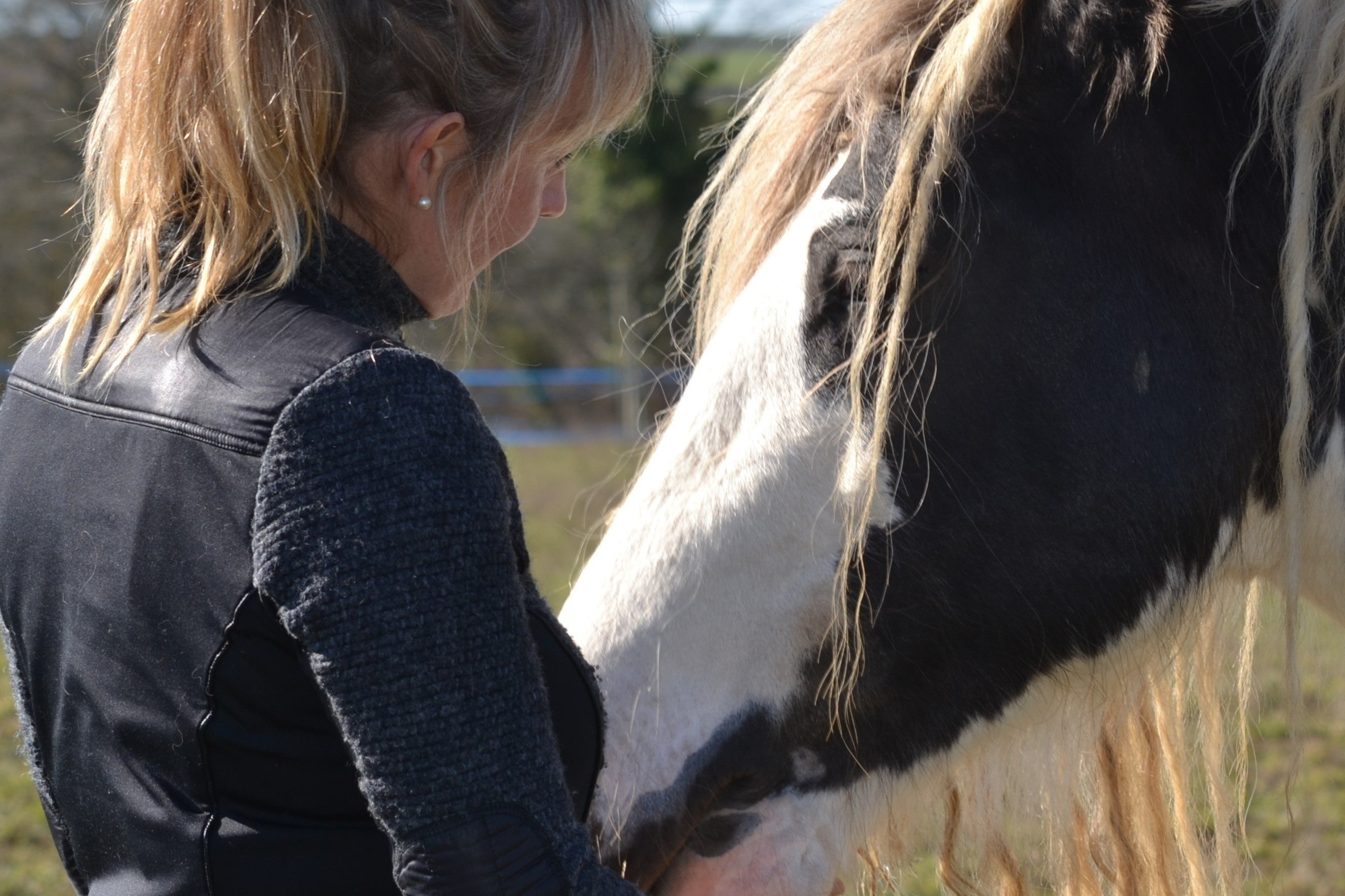 Soins palliatifs : Face à la fin de vie : ​Grâce aux chevaux, s’enrichir de nouvelles ressources  pour mieux accompagner l’autre