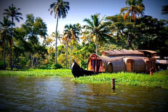 Retraite spirituelle méditative & Cure ayurvédique au Kerala du 11 au 25 janvier 2025