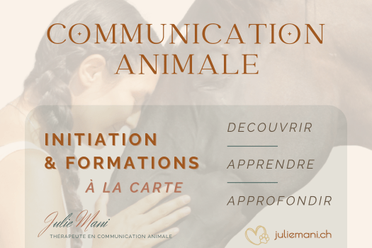 Communication animale: atelier découverte