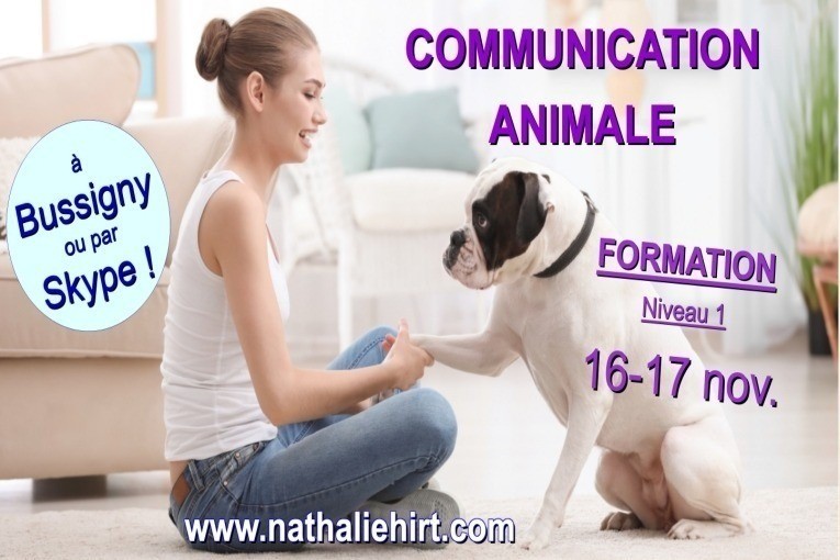 Communication animale pour tous - Formation intensive - Niveau 1