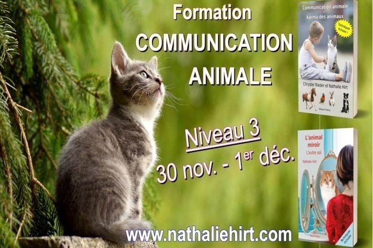 Formation ultime de communication animale