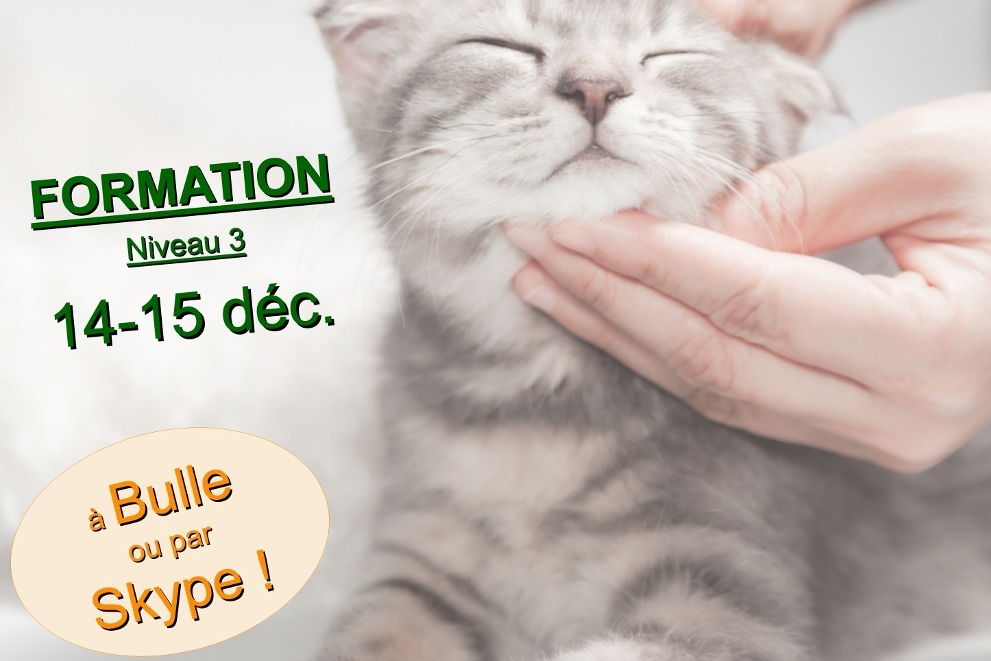 Formation ultime de communication animale