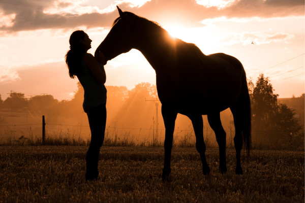 Offrez vous un moment d'alchimie avec les chevaux dans un magnifique décor!