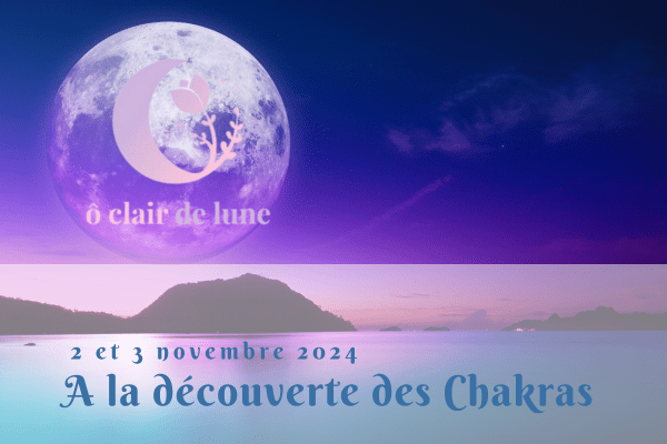 A la découverte des Chakras