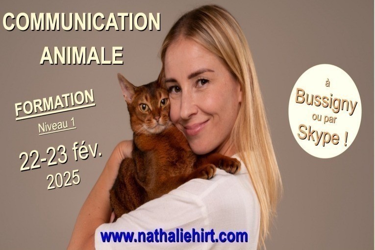 Formation de communication animale pour tous!